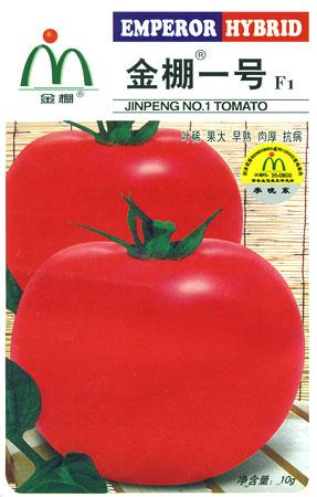 金棚一号- 粉红番茄系列 金棚一号- 粉红番茄系列