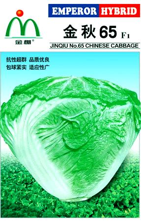 金棚金秋65大白菜- 其它蔬菜系列