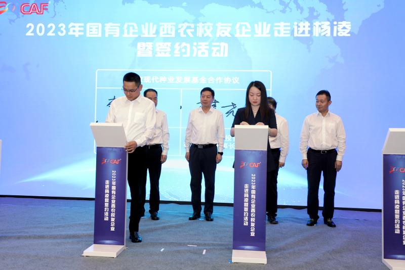 修图.jpg