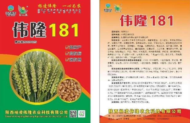 图片 13.png