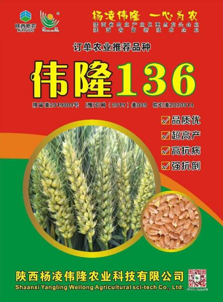 图片 18.png