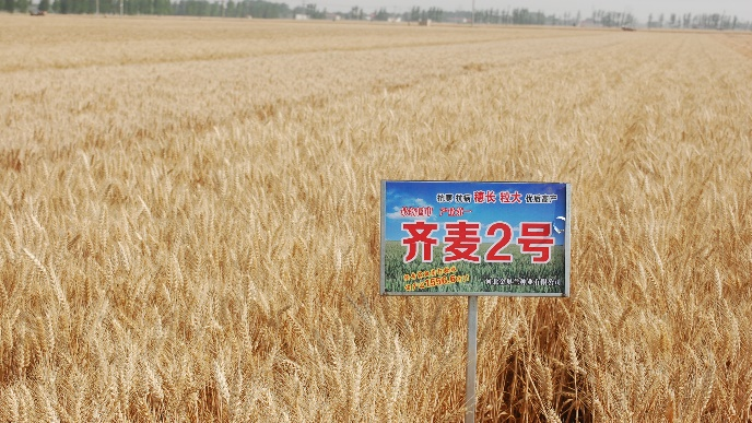 图片 25.png