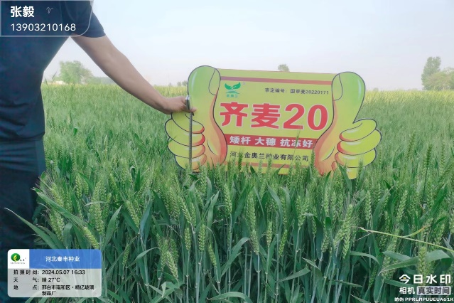 图片 24.png