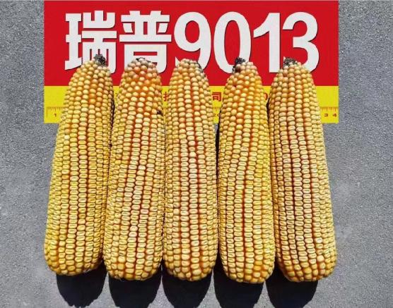 图片 35.png