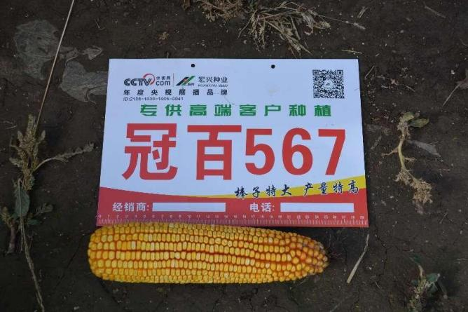 图片 34.png