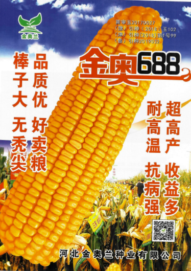 图片 46.png