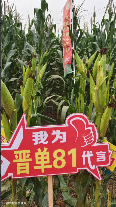 图片 59.png