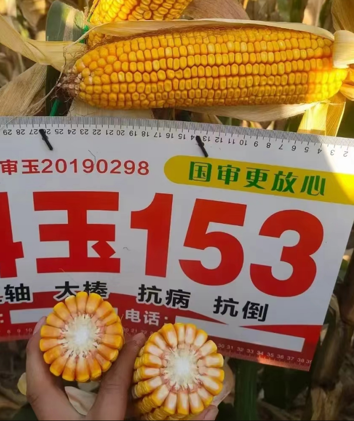 图片 61.png