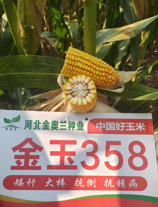 图片 66.png