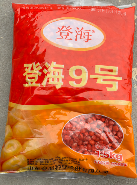 图片 91.png