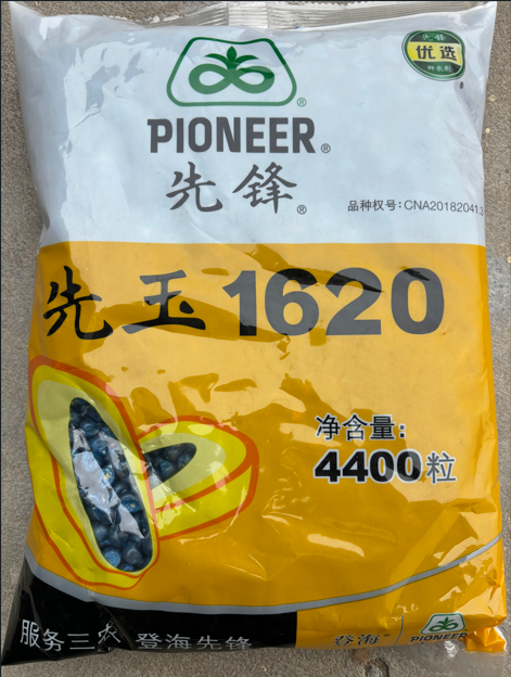 图片 99.png