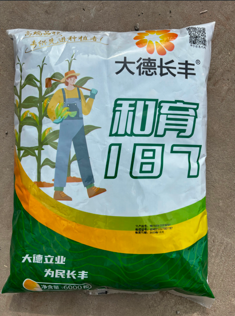 图片 102.png