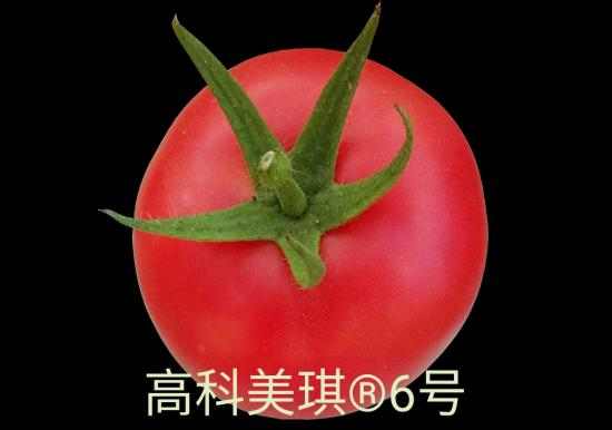 图片 123.png