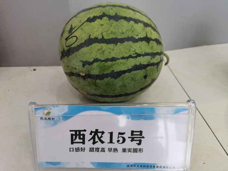 图片 142.png