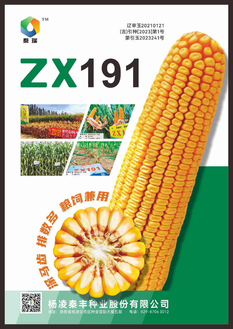 图片 3.png