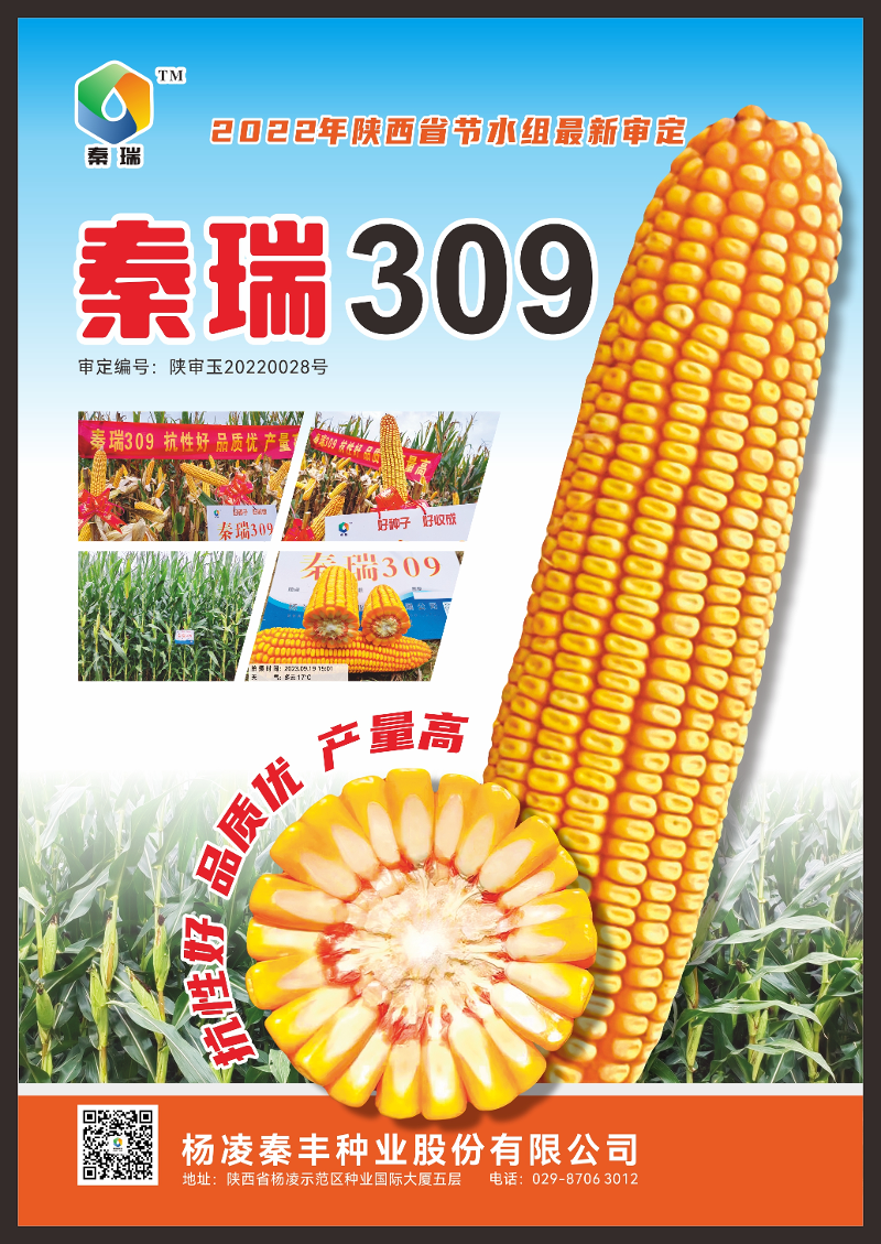 图片 6.png