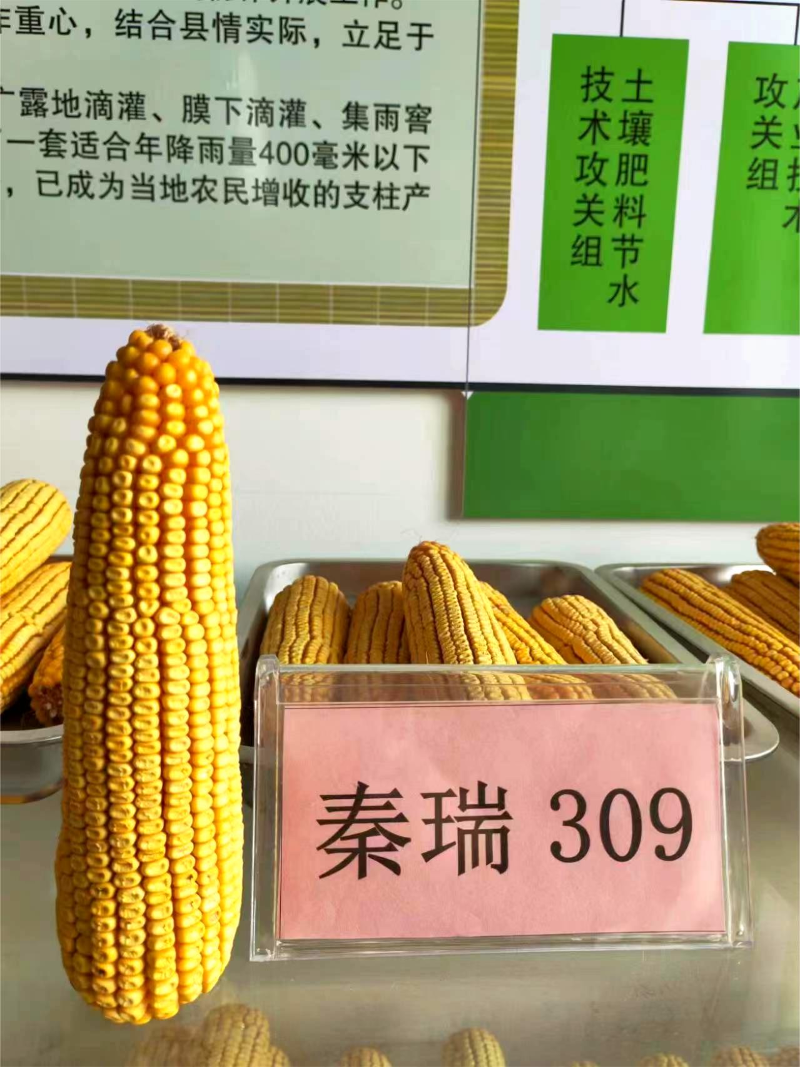 图片 7.png