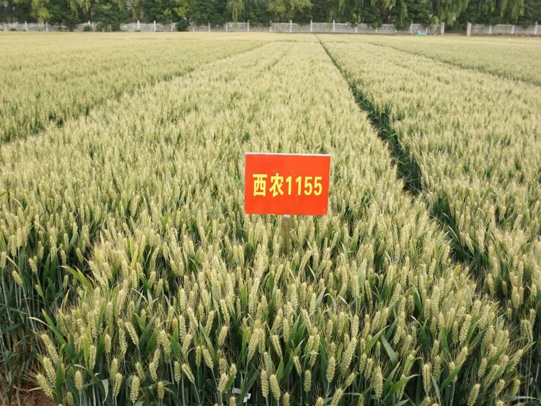 221784702510952678.jpg 640.jpg