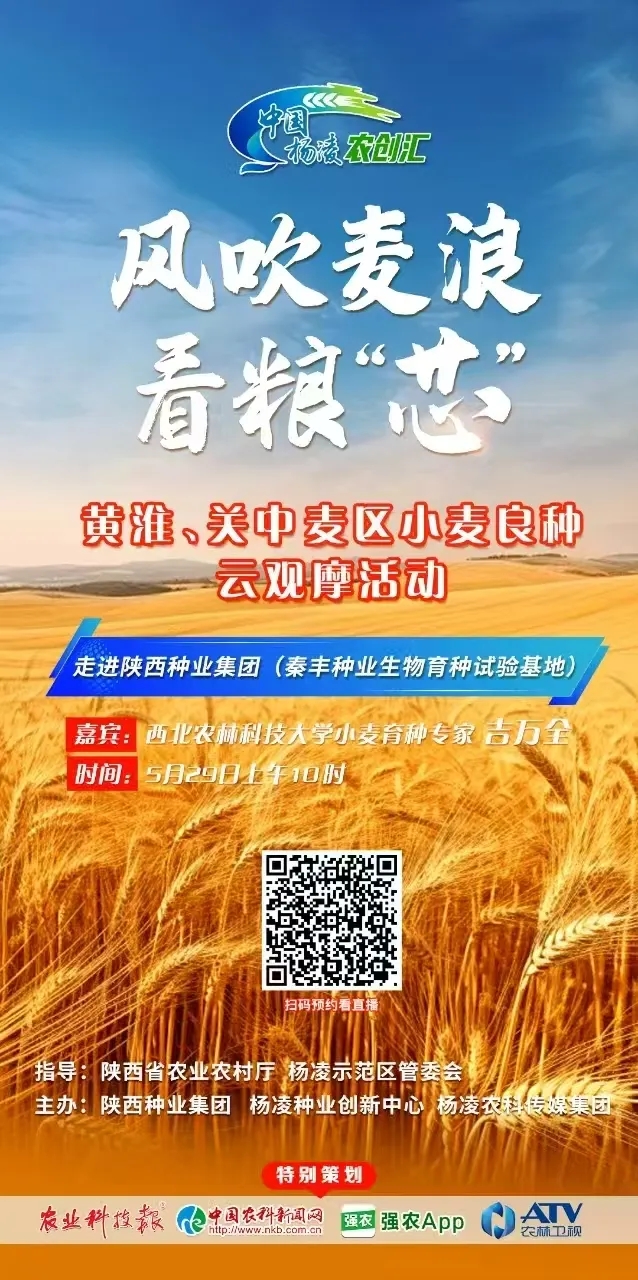 6.03-1.webp.jpg