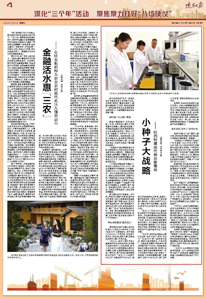 小种子.jpg